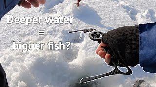 Deeper water = bigger fish??