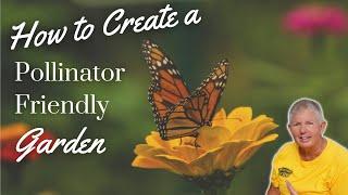 How to Create a Pollinator Friendly Garden  Planting for Pollinators