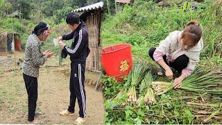 The daughter-in-law is away and the mother-in-law is upset in the small house - Lý Thị Hương 