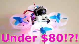 Tiny Whoop-Dee-Doo Fun P