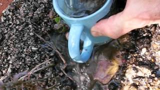 Silt and Salmon Solution  Siphoning Over a Dam Fish Flume & Log Flume