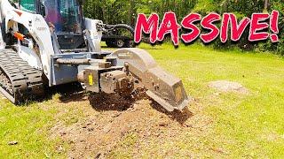 Are these stumps too big for this stump grinder?