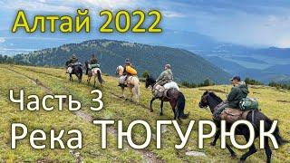 Алтай 2022. Конный тур на реку Тюгурюк и рыбалка на хариуса. 3 часть.