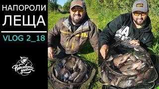 Надрали леща и утопили всю аппаратуру Веселый Vlog#2_18 Рыболовный дневник