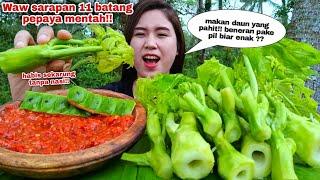 MUKBANG BATANG PEPAYA MENTAH TANPA NASI ⁉️ 11 BATANG PEPAYA SAMBEL TERASI#mukbanglalapanmentah