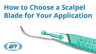 Disposable Knives - How to Choose a Scalpel Blade for Your Application