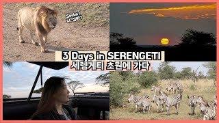 THE LION KING IS HERE 3 DAYS IN SERENGETI I Tanzania Travel vlog