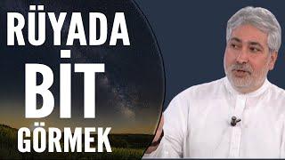 Rüyada Bit Görmek Ne Anlama Gelir?  Mehmet Emin Kırgil