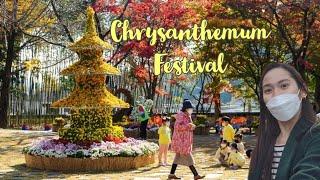 CRYSANTHEMUM FESTIVAL AUTUMN DAY  SOUTH KOREA