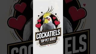 Top 2 The Sweet & Social Cockatiel  ️ #shorts #facts #shortsvideo #birds #cockatiel #ai #parrot