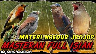 MASTERAN HARIAN MATERI NGEDUR JROJOS  MASTERAN BURUNG FULL ISIAN TEMBAKAN