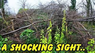 Trees left resting on her Roof Helping Barbara &  2023 EPIC Cleans