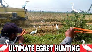 Ultimate Egret Bird Hunting With Slingshot