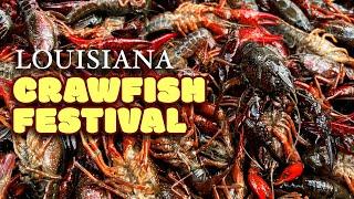 FOOD TOUR Through Louisianas LARGEST Crawfish Festival