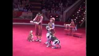 Yakuboskie.ru DogShow Clowns with dogs Moscow Circus Клоуны с собачками