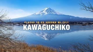 Mt.FujiKawaguchiko Travel Guide  A Day Trip From Tokyo