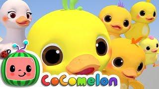 Five Little Ducks  CoComelon Nursery Rhymes & Kids Songs