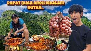 BLUSUKAN KEDALAM HUTAN DAN MENEMUKAN BUAH ANEH LANGSUNG OLAH JADI MAKANAN SAMBIL BAKAR IKAN…