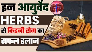 आयुर्वेद से किडनी रोग का सफल इलाज  Ayurvedic Treatment of Kidney  Dr. Puru Dhawan