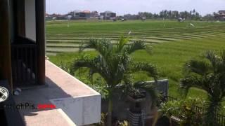 Jual VILLA di BERAWA Canggu Bali