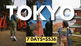 TOKYO Like Youve Never Seen Before  2024 Tokyo JAPAN Travel Guide 