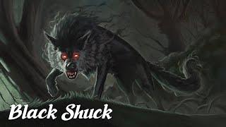 Black Shuck The Demon Hound of Britain Mysterious Legends & Creatures Explained #17