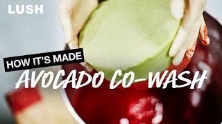 Lush How Its Made Avocado Co-Wash