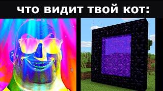 Что ВИДИШЬ ты vs Что ВИДИТ твой кот часть 2