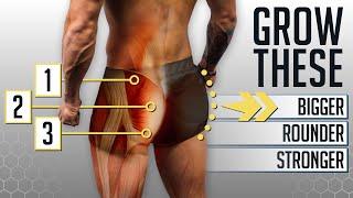 The 4 BEST Glute Exercises For A Nicer Butt GYM OR HOME Ft. Bret Contreras