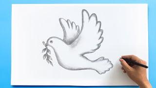 How to Draw a Flying Bird . Draw a Dove Bird with olive branch