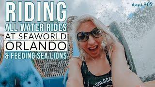 Riding ALL Water Rides at SeaWorld Orlando & Feeding Sea Lions  Journey to Atlantis Infinity Falls