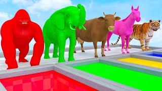 Learn Colors With Animals Cow Tiger Lion Gorilla Elephant Shark Crossing Animal Animation