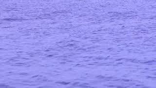 Stock footage of fresh water lake like Lake victoria kyogaEdward george erc without any colour
