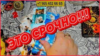 ЧТО УЖЕ СТОИТ НА ПОРОГЕ? РАСКЛАД ТАРО #shorts #таро #тайны #alenaaries #сегодня