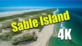 Sable Island As youve never seen before