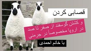 قصابی کردن و کشتن گوسفند در جرمنی خانم احمدی دو رأس گوسفند برای خود قصابی کرد، در  کجا و چطور؟؟؟