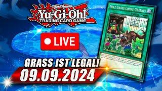 GAMBA GAMBA TCG Online Locals