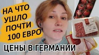 Цены в Германии на что ушло почти 100 Евро