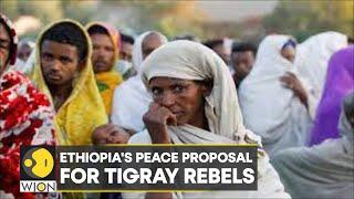 Ethiopian government calls for a formal Tigray ceasefire agreement  Latest World News  WION