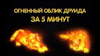 Огненный облик друида за 5 минут  World of Warcraft