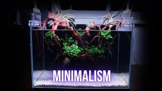 SIMPLE PLANTED AQUARIUM with epiphyte plants  Step by step LOW TECH AQUASCAPING TUTORIAL  EP1