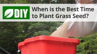 What is the Best Time to Plant Grass Seed? - Fall Lawn Tips  DoMyOwn.com