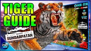 The Bengal Tiger Guide  Everything You Need to Know - theHunter Call of the Wild