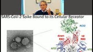 Human antibody responses to SARS-CoViD-2