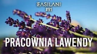 Pracownia Lawendy. Zasilani #91