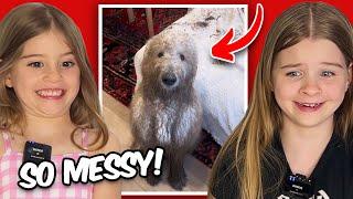 Funny Animals Making HUGE MESSES  Try Not To Laugh 