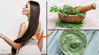 How to Make Your Hair GROW FASTER With MORINGA POWDER