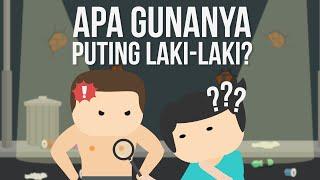 Apa Fungsi Puting Laki-laki?