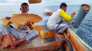 MANCING IKAN KERAPU SUNU  dan cara menghidupkannya