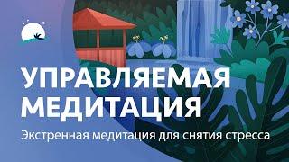 Управляемая медитация  Экстренная медитация для снятия стресса  Уменьшить стресс  BetterSleep